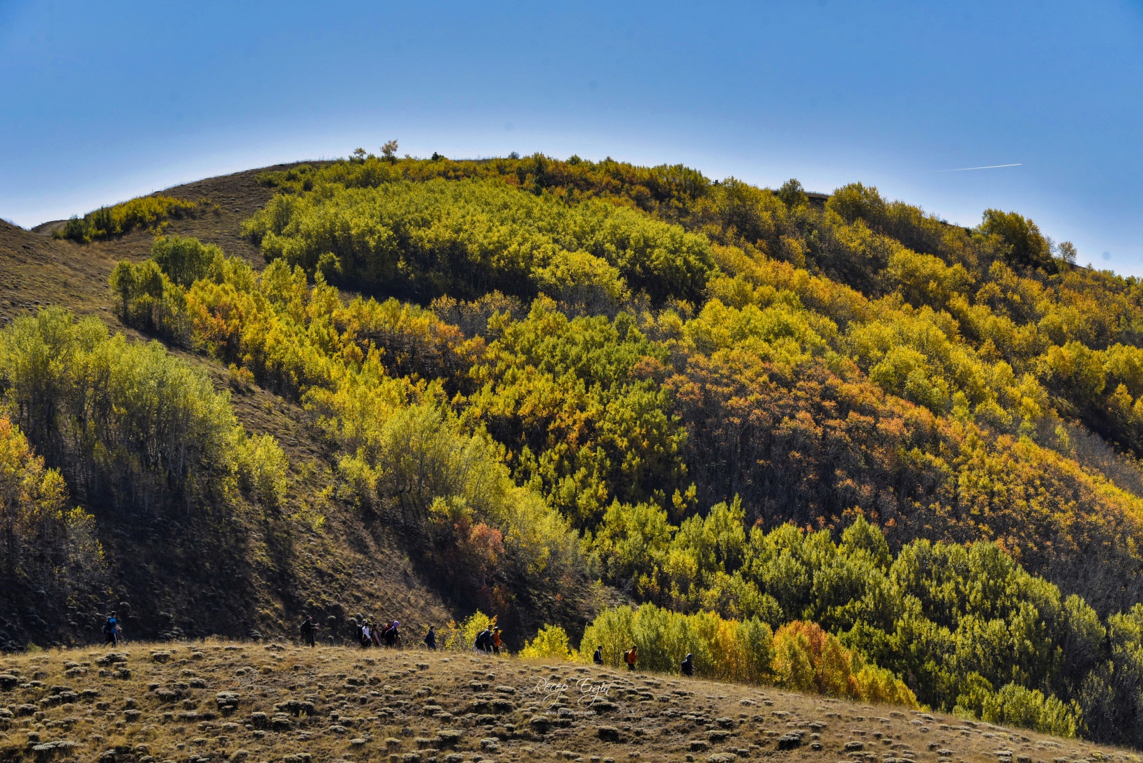 Gümüşhane'de doğa tutkunları sonbaharın keyfini çıkarıyor 30