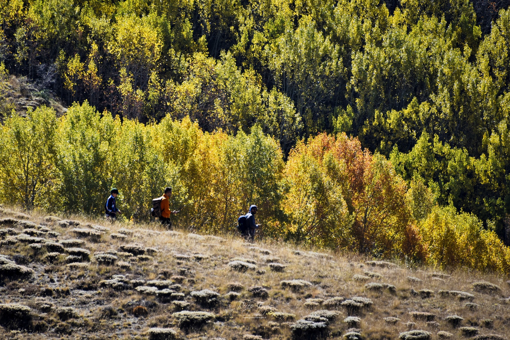 Gümüşhane'de doğa tutkunları sonbaharın keyfini çıkarıyor 40