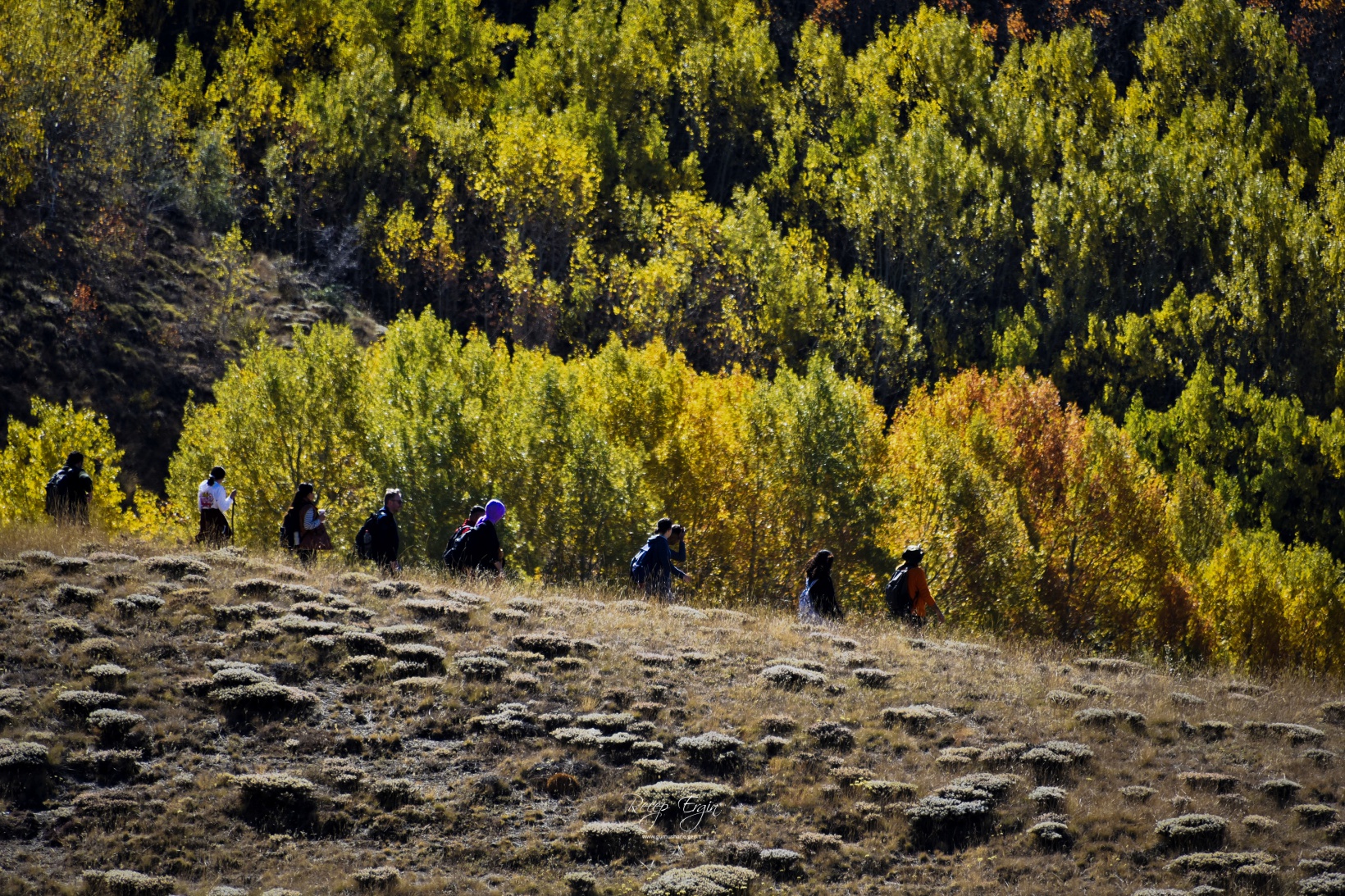 Gümüşhane'de doğa tutkunları sonbaharın keyfini çıkarıyor 32