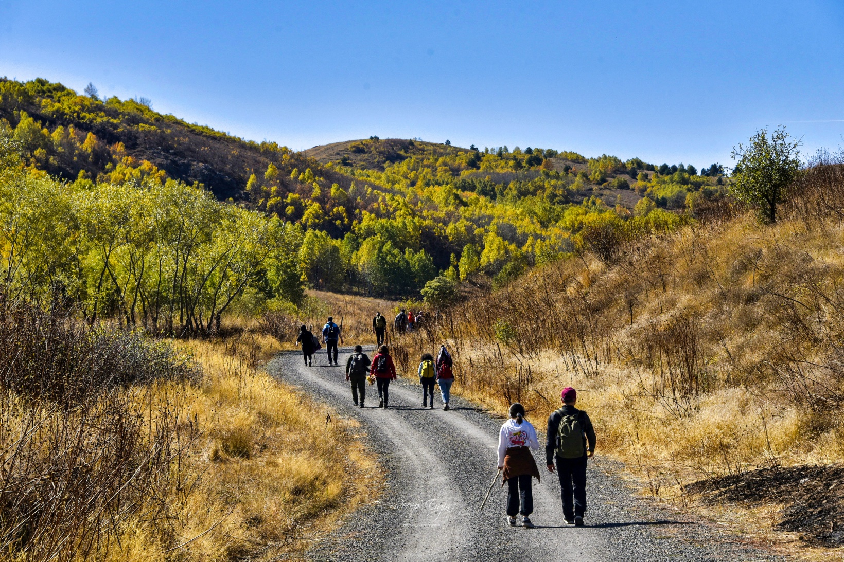 Gümüşhane'de doğa tutkunları sonbaharın keyfini çıkarıyor 39