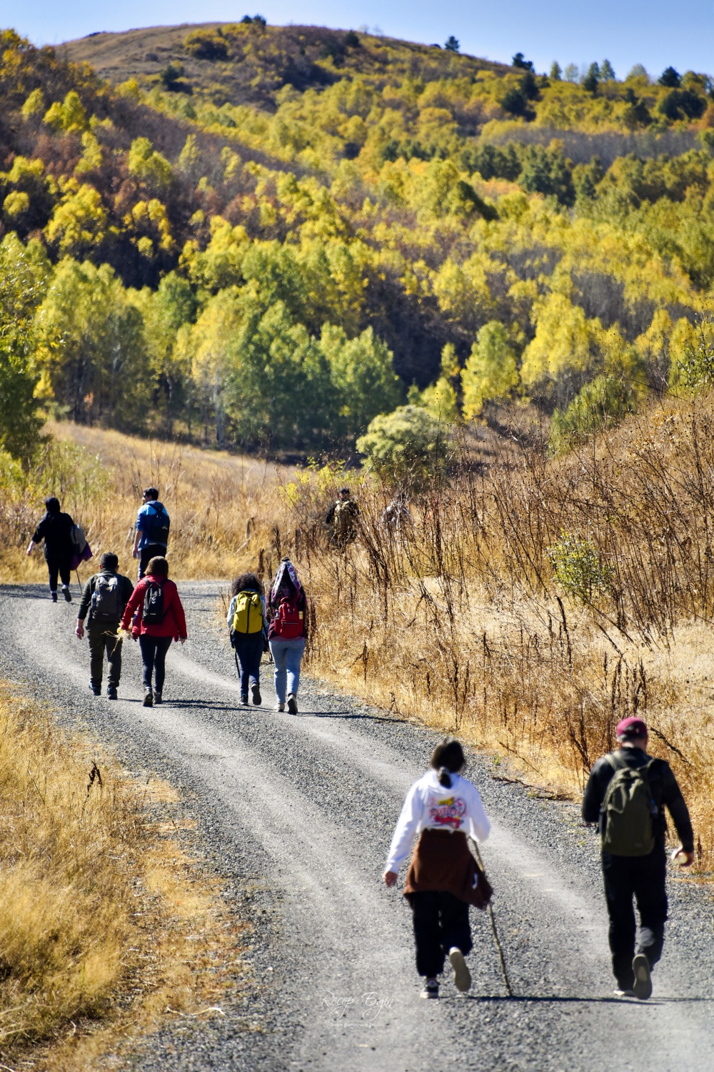 Gümüşhane'de doğa tutkunları sonbaharın keyfini çıkarıyor 48