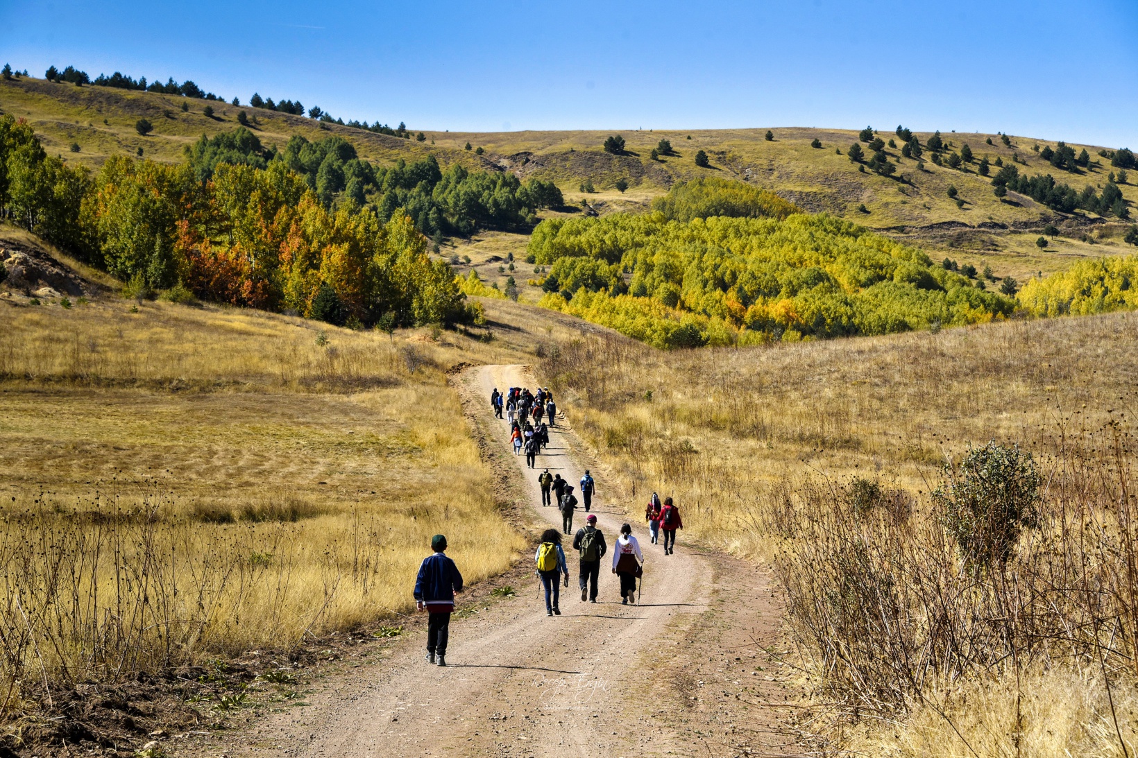 Gümüşhane'de doğa tutkunları sonbaharın keyfini çıkarıyor 47