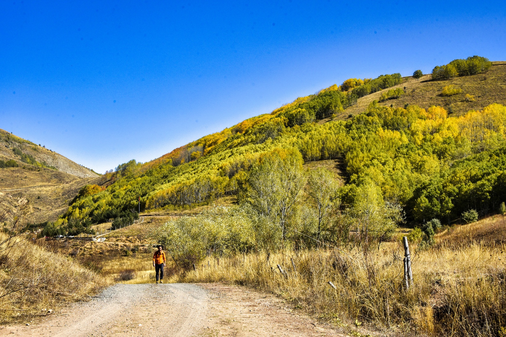 Gümüşhane'de doğa tutkunları sonbaharın keyfini çıkarıyor 55
