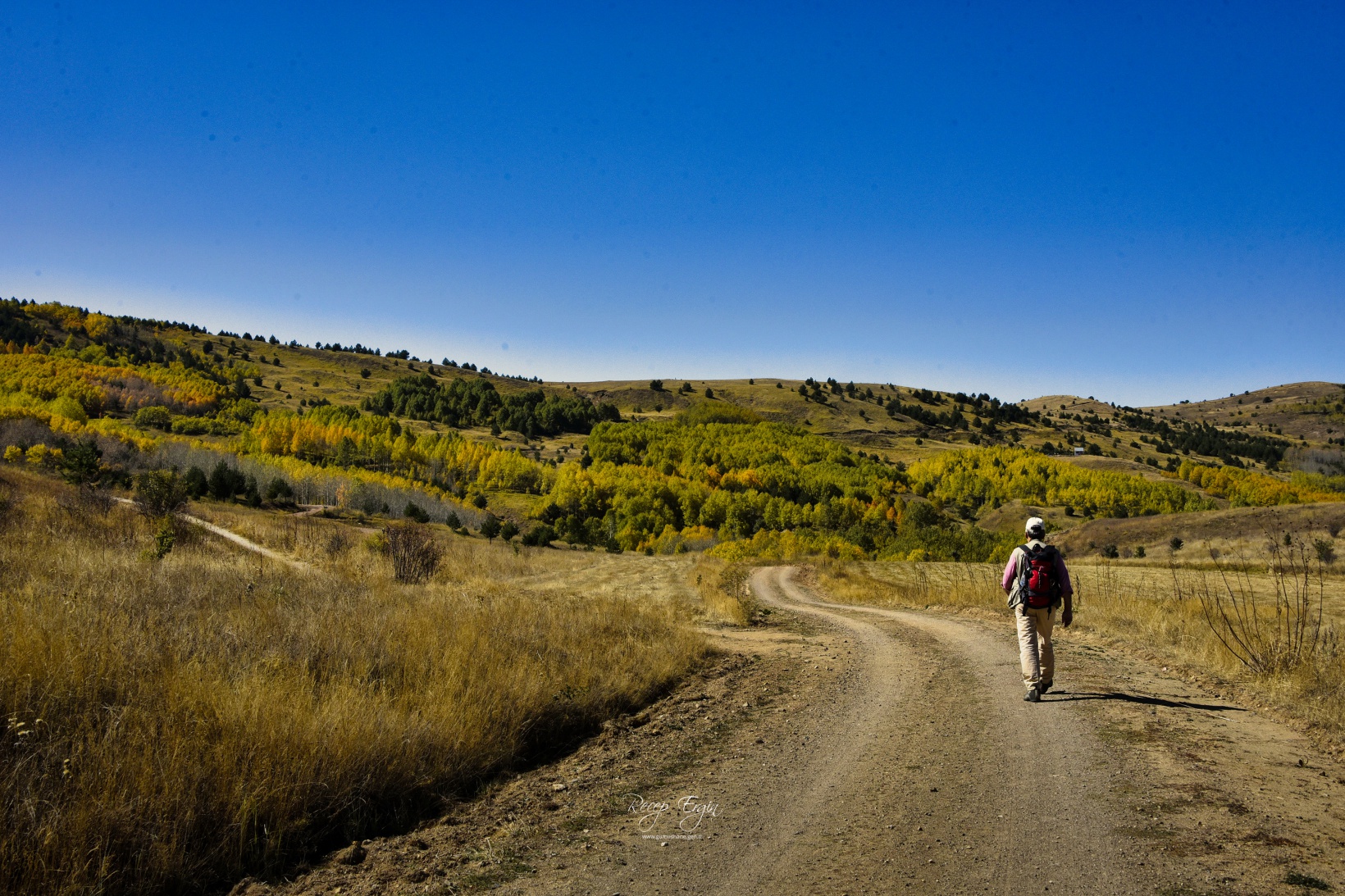 Gümüşhane'de doğa tutkunları sonbaharın keyfini çıkarıyor 11