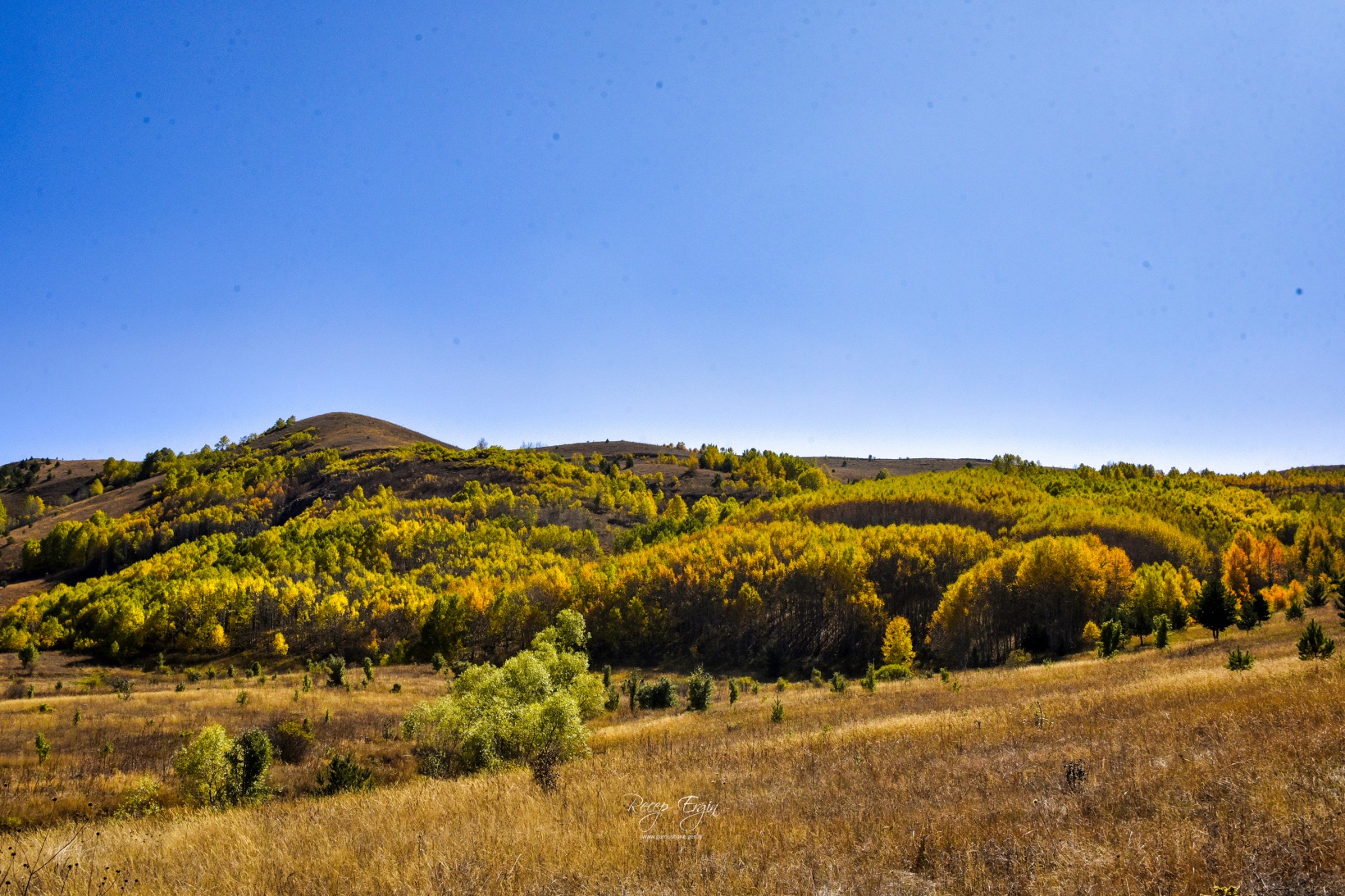 Gümüşhane'de doğa tutkunları sonbaharın keyfini çıkarıyor 26