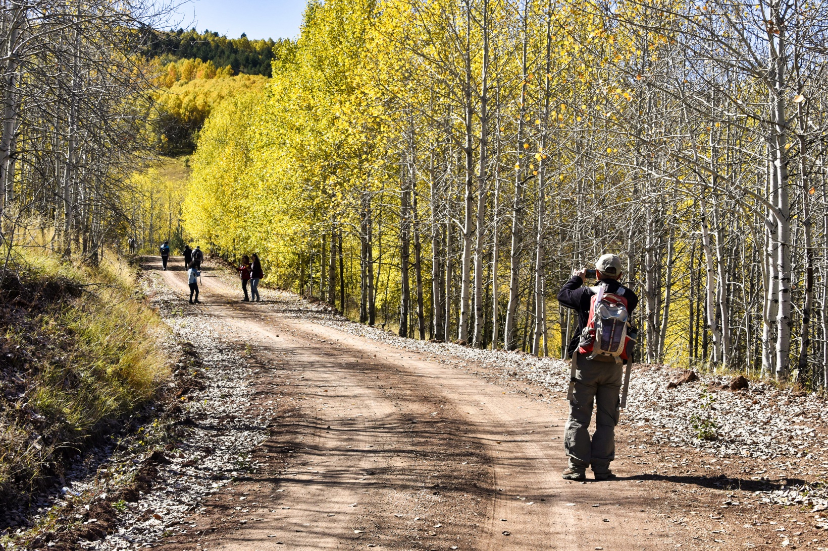 Gümüşhane'de doğa tutkunları sonbaharın keyfini çıkarıyor 15