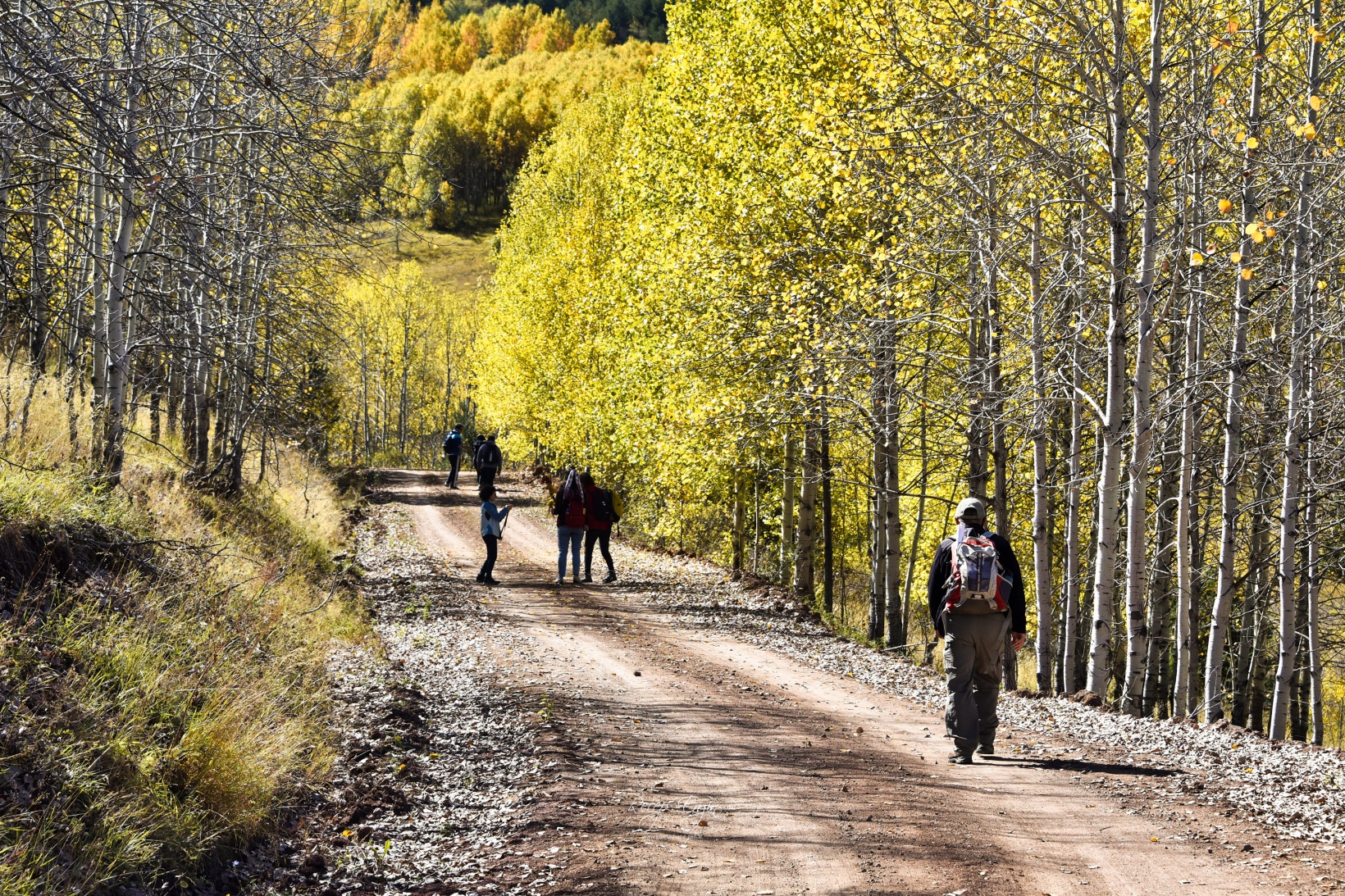 Gümüşhane'de doğa tutkunları sonbaharın keyfini çıkarıyor 10