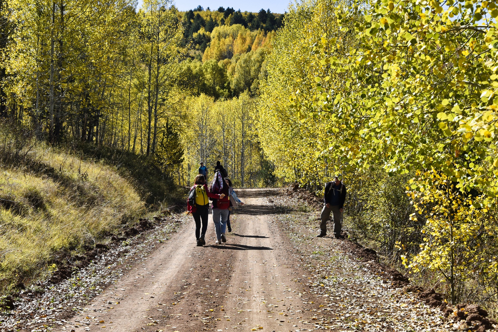 Gümüşhane'de doğa tutkunları sonbaharın keyfini çıkarıyor 51