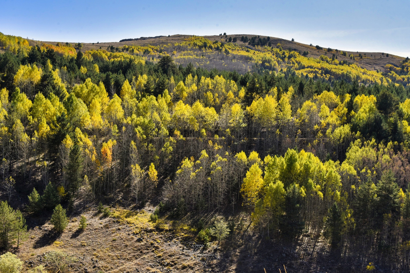 Gümüşhane'de doğa tutkunları sonbaharın keyfini çıkarıyor 27