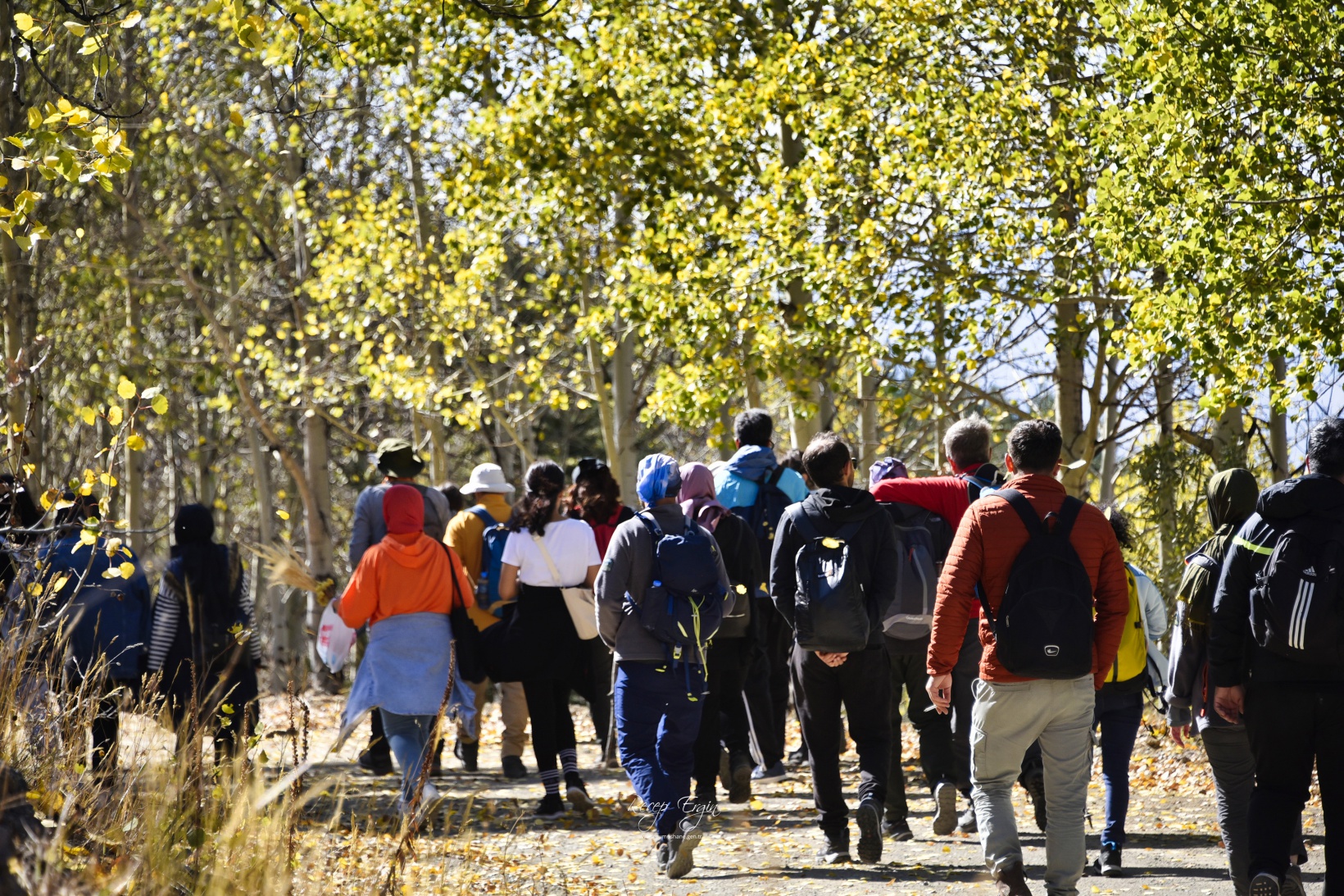 Gümüşhane'de doğa tutkunları sonbaharın keyfini çıkarıyor 63