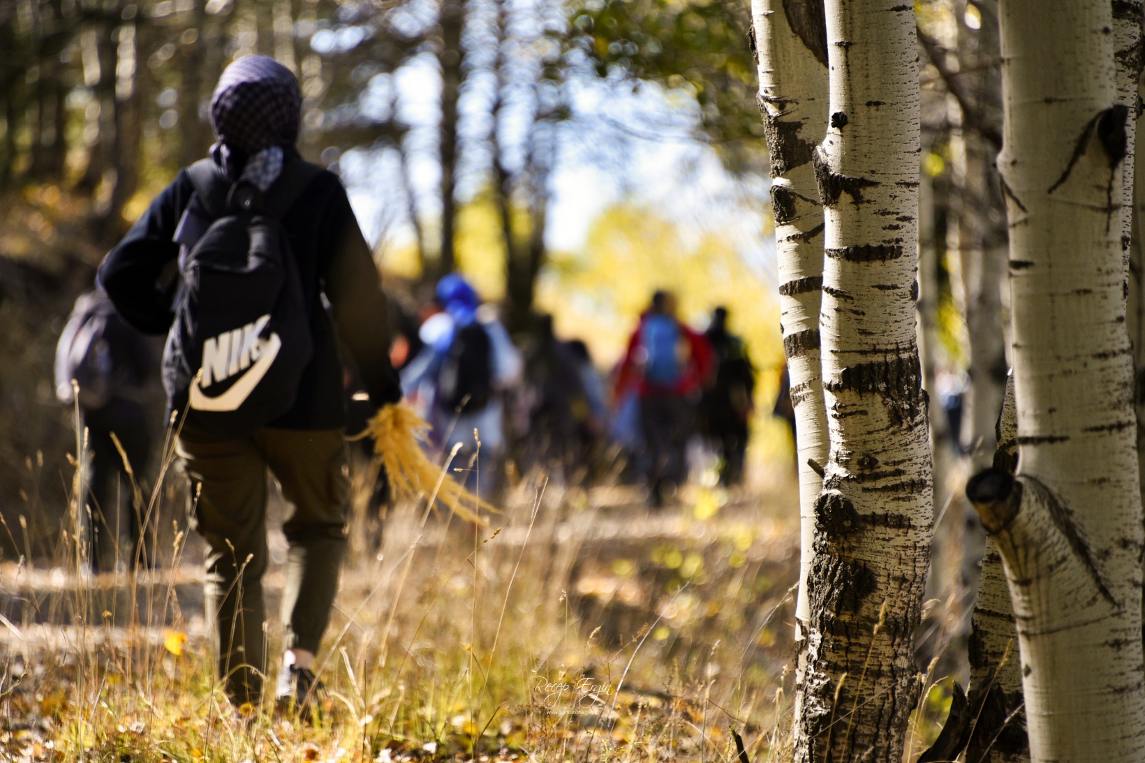Gümüşhane'de doğa tutkunları sonbaharın keyfini çıkarıyor 2