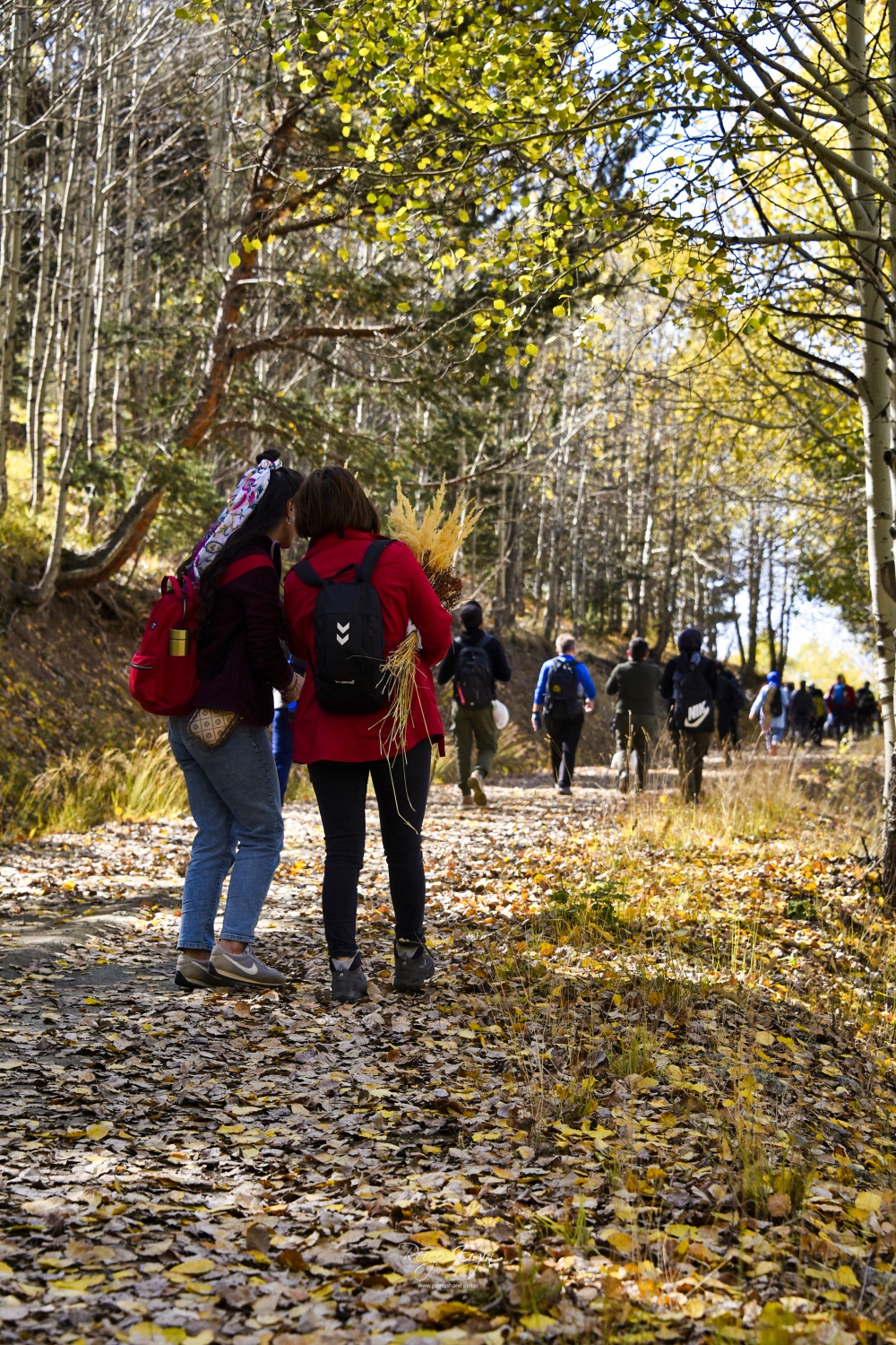 Gümüşhane'de doğa tutkunları sonbaharın keyfini çıkarıyor 34