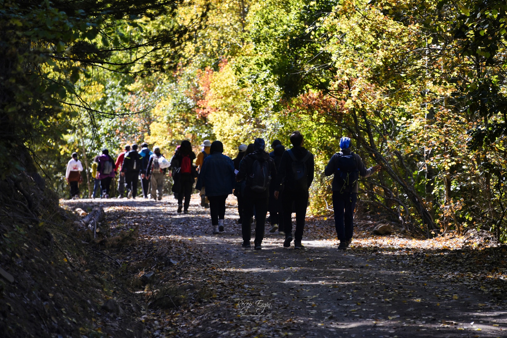 Gümüşhane'de doğa tutkunları sonbaharın keyfini çıkarıyor 38