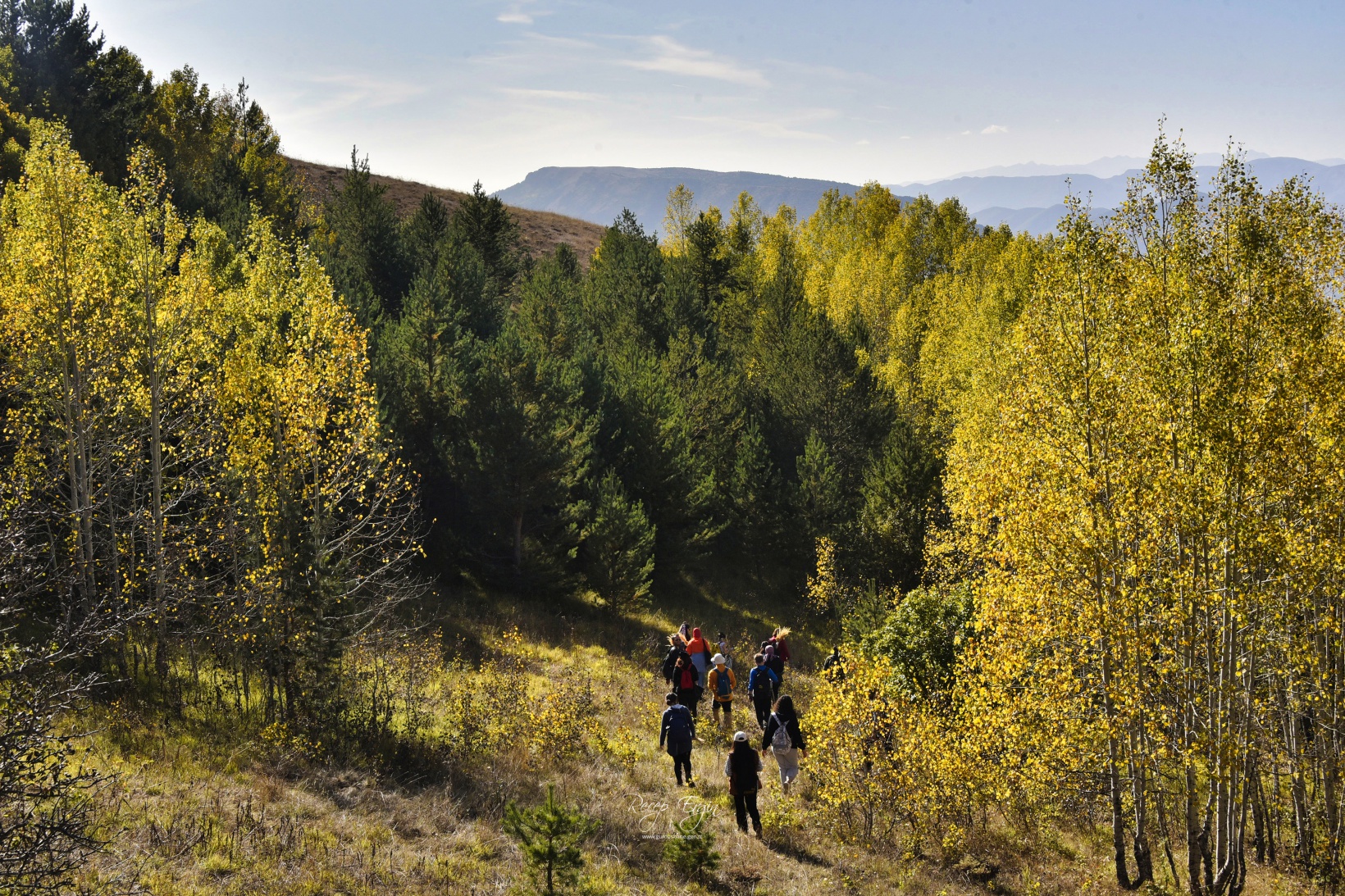 Gümüşhane'de doğa tutkunları sonbaharın keyfini çıkarıyor 56