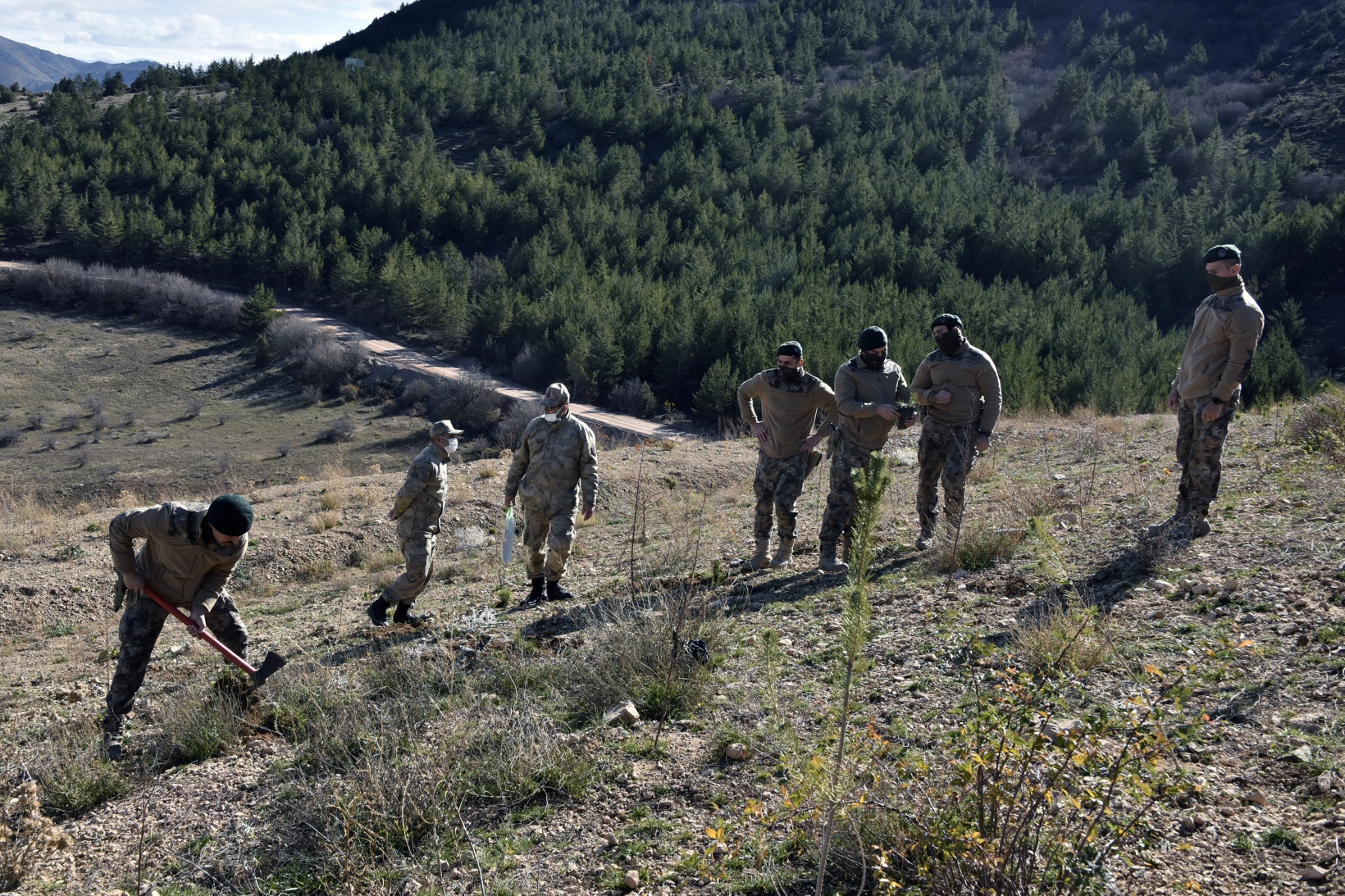 Gümüşhane’de Milli Ağaçlandırma Gününde binlerce fidan toprakla buluştu 10