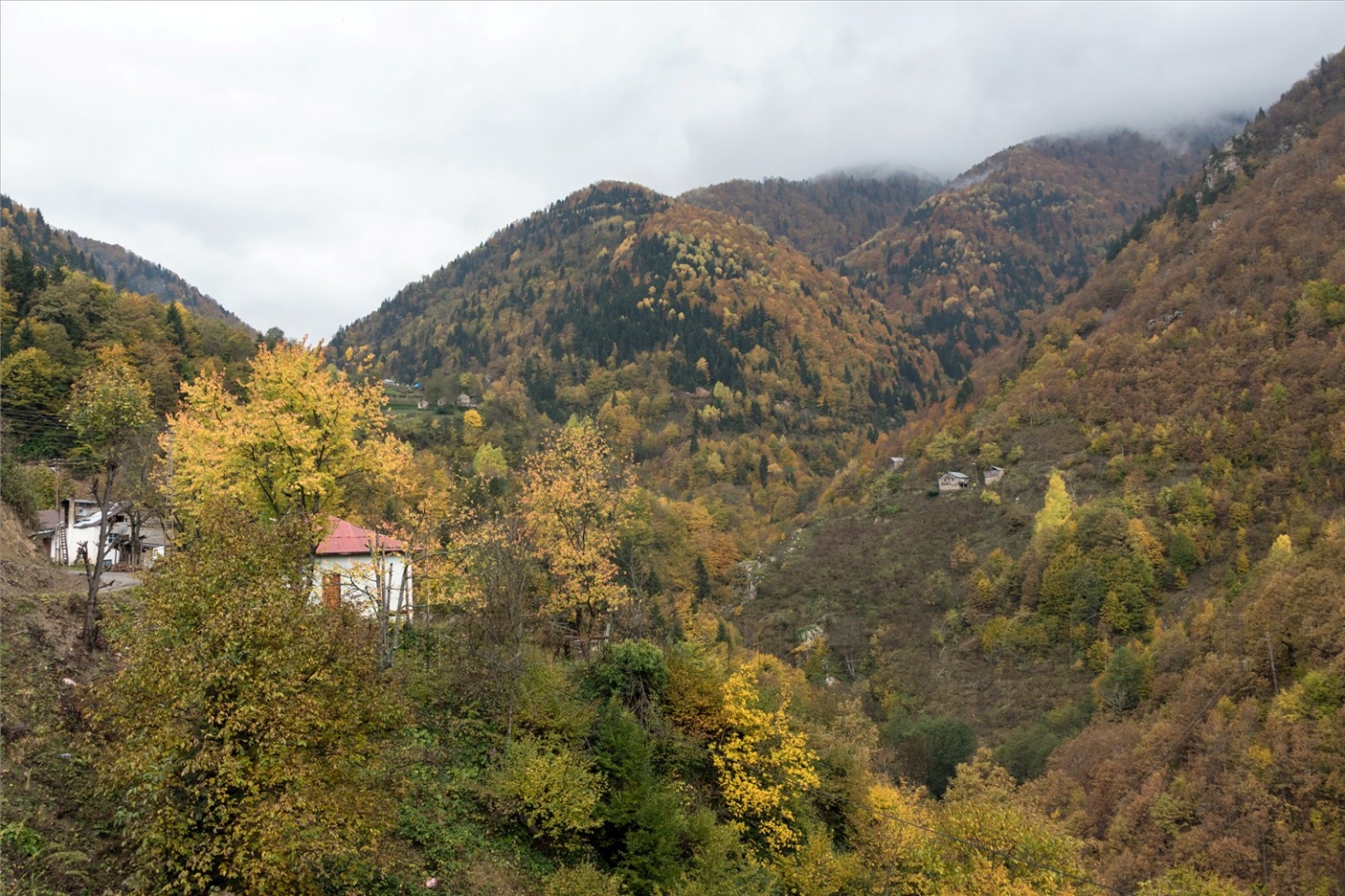 Örümcek Ormanları'ndan son 'bahar' manzaraları 17