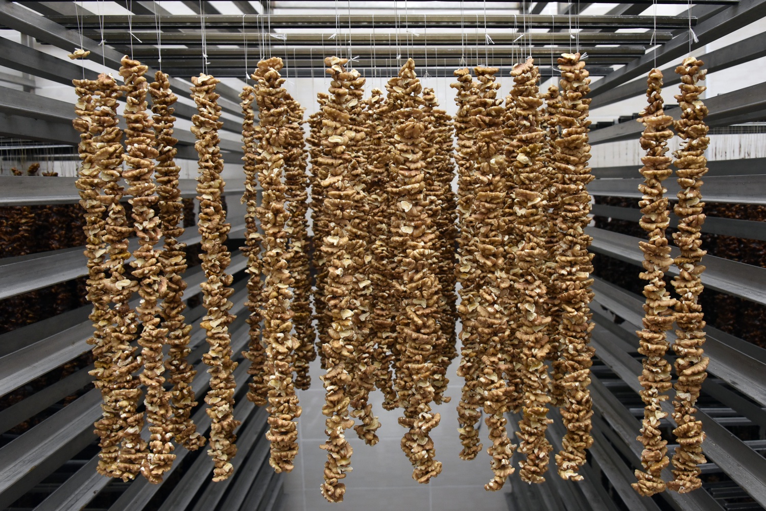 Dut'un ceviz ve fındığa olan sevdasının ürünü: Pestil ve köme 4