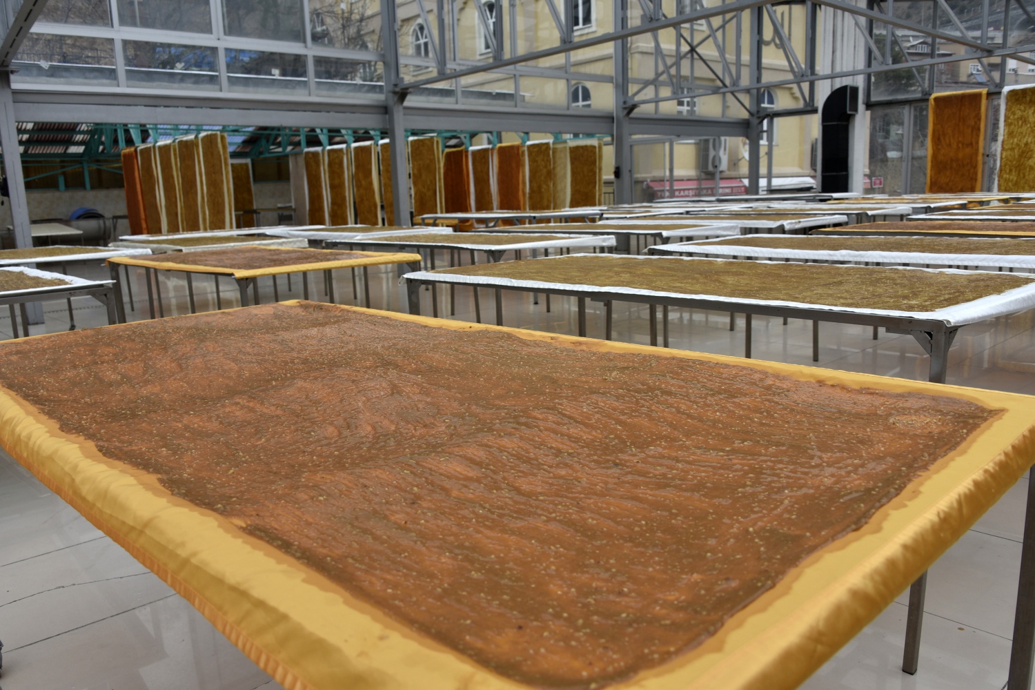 Dut'un ceviz ve fındığa olan sevdasının ürünü: Pestil ve köme 15