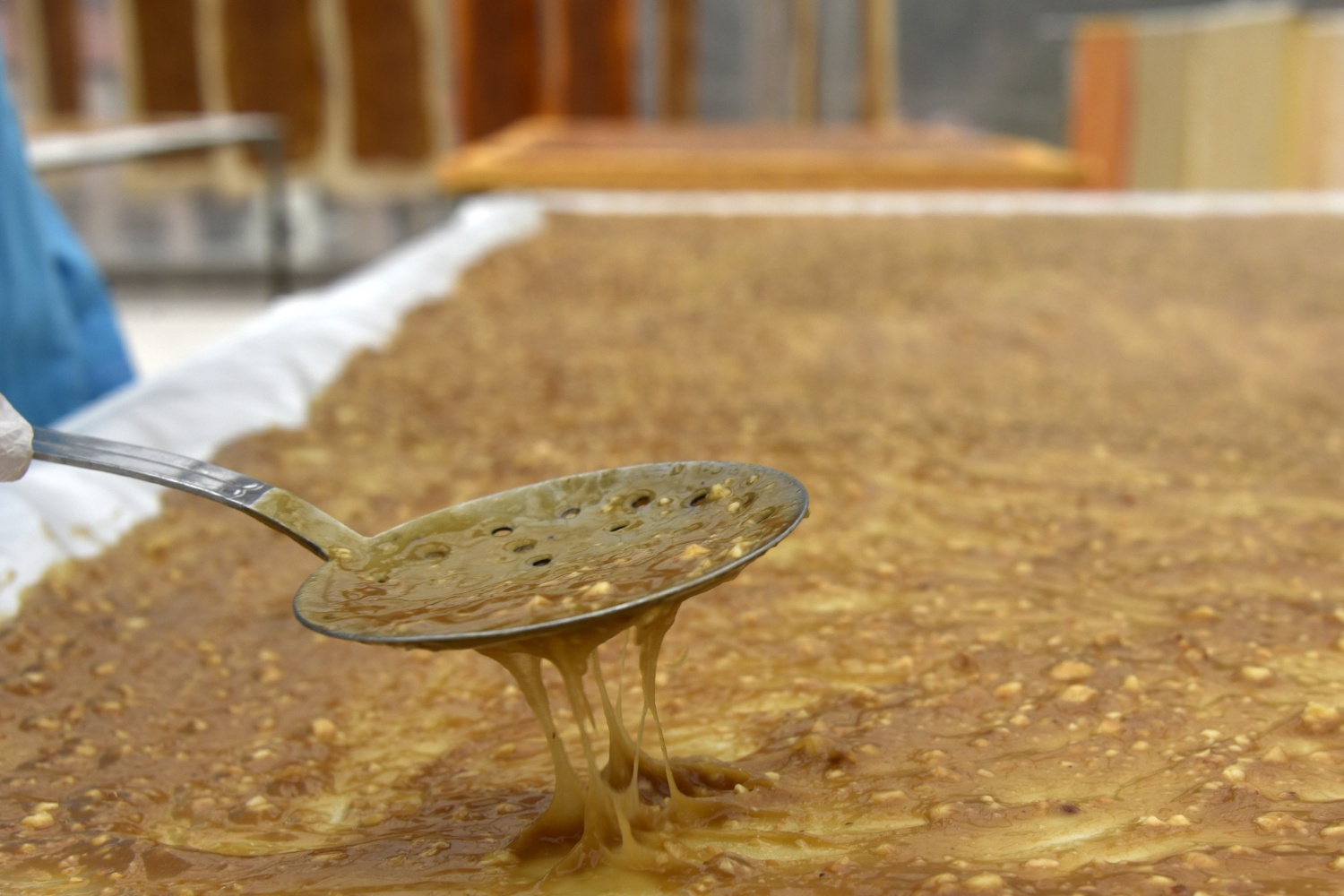 Dut'un ceviz ve fındığa olan sevdasının ürünü: Pestil ve köme 16