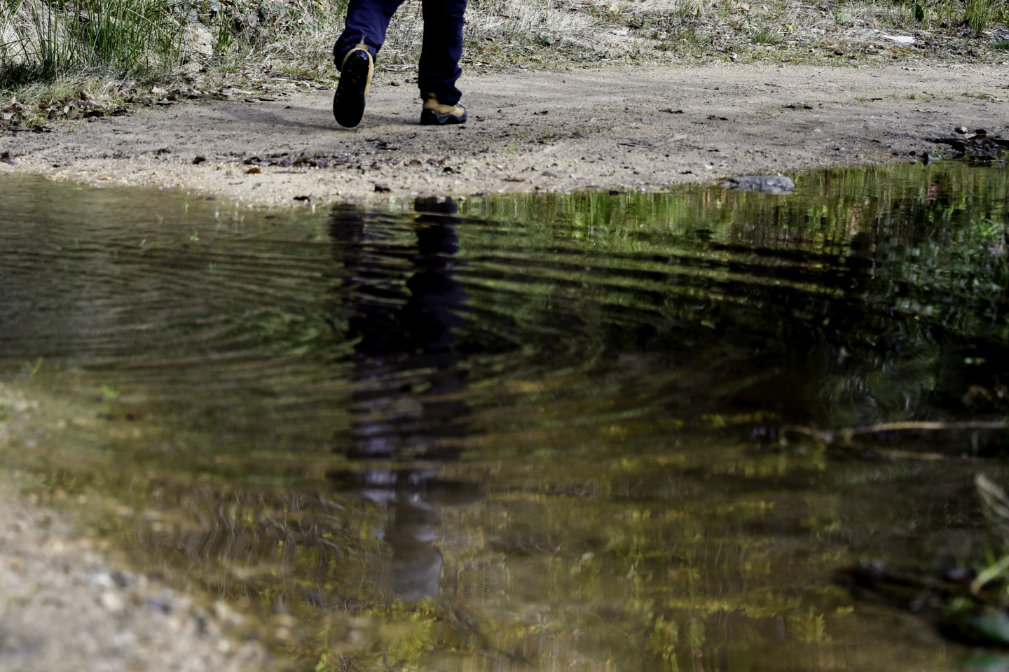 Gümüşhaneli dağcılardan en güzel sonbahar yürüyüşü 3