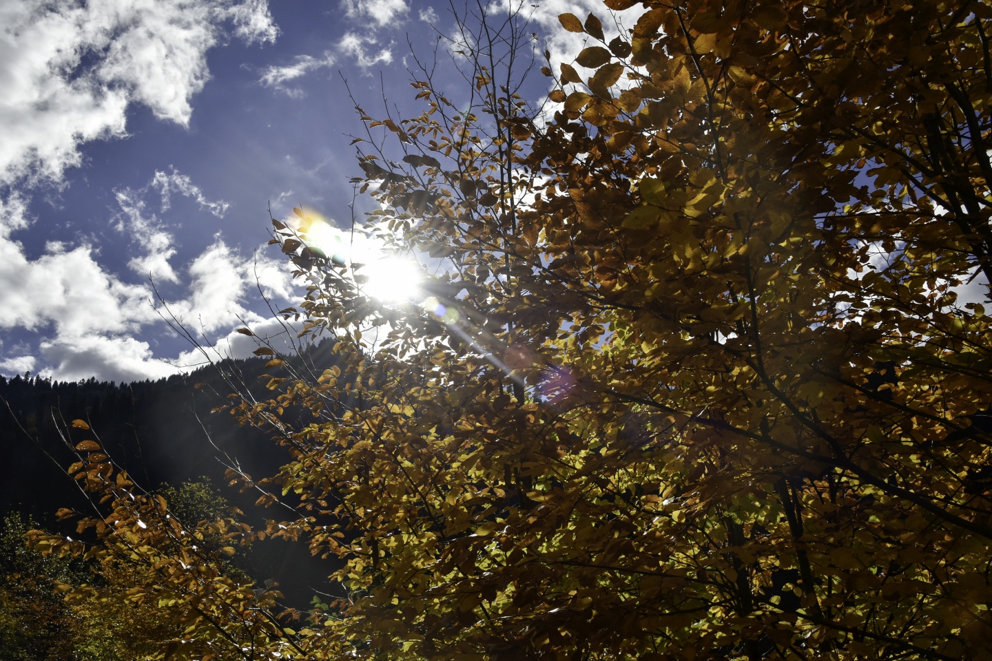 Gümüşhaneli dağcılardan en güzel sonbahar yürüyüşü 4
