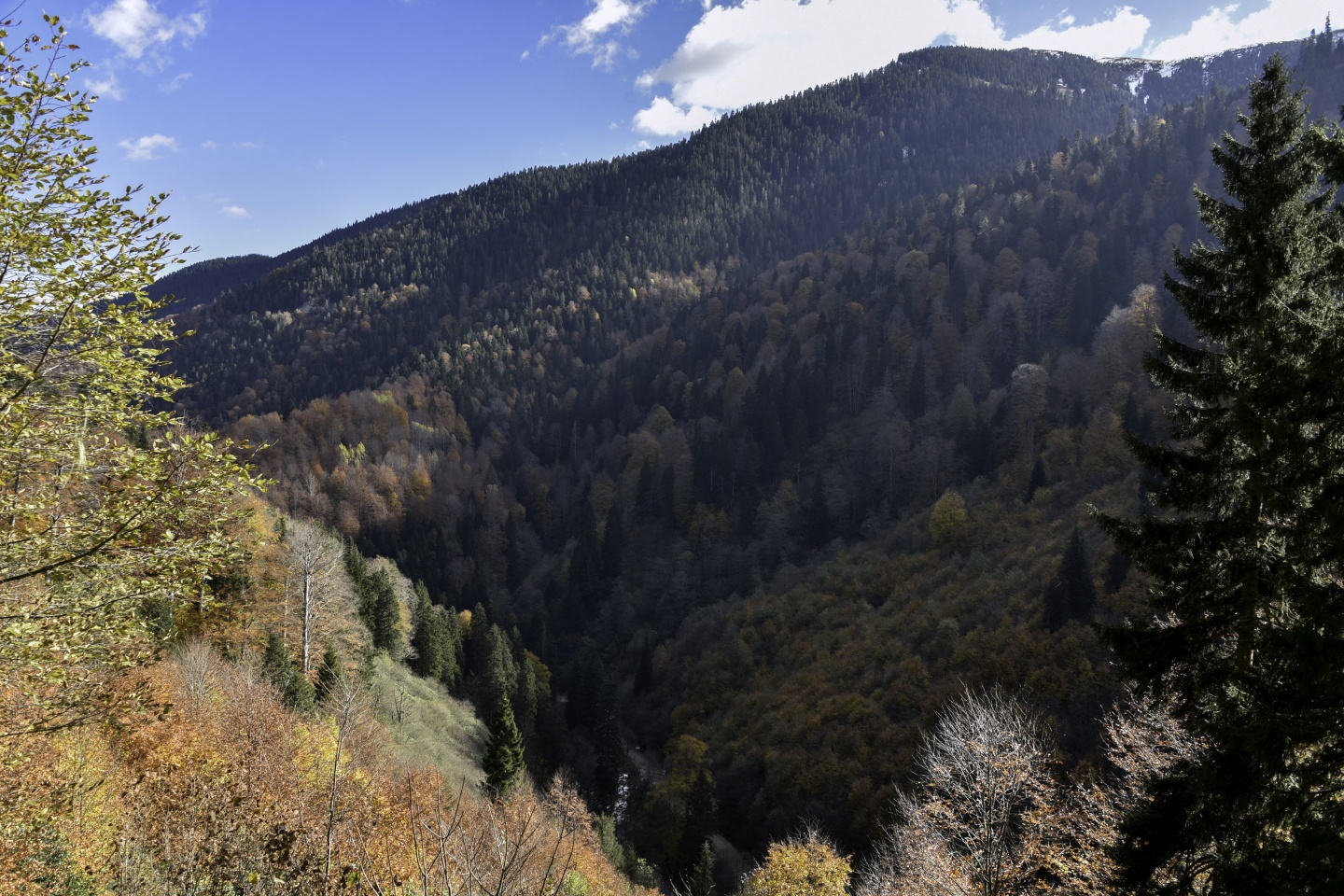 Gümüşhaneli dağcılardan en güzel sonbahar yürüyüşü 2