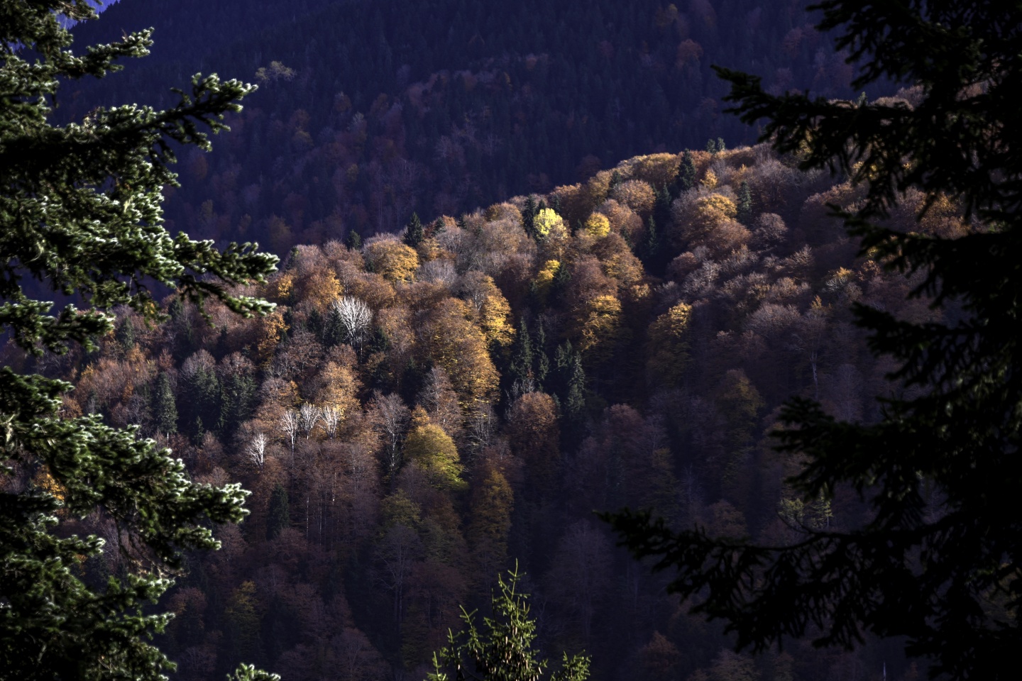 Gümüşhaneli dağcılardan en güzel sonbahar yürüyüşü 81