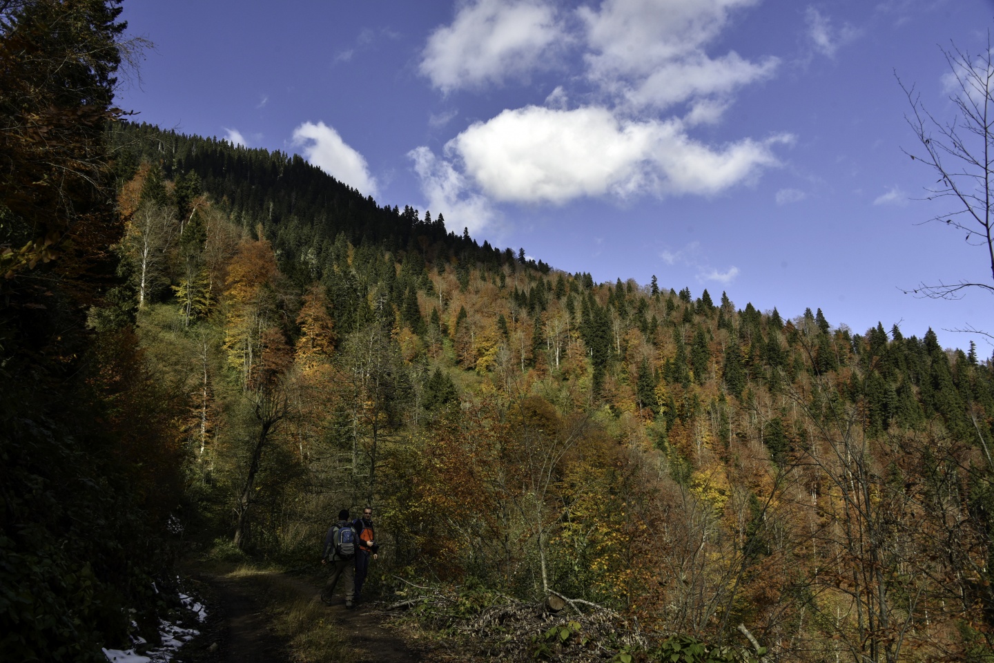 Gümüşhaneli dağcılardan en güzel sonbahar yürüyüşü 45