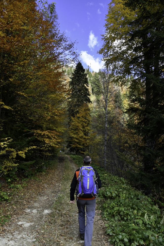 Gümüşhaneli dağcılardan en güzel sonbahar yürüyüşü 14