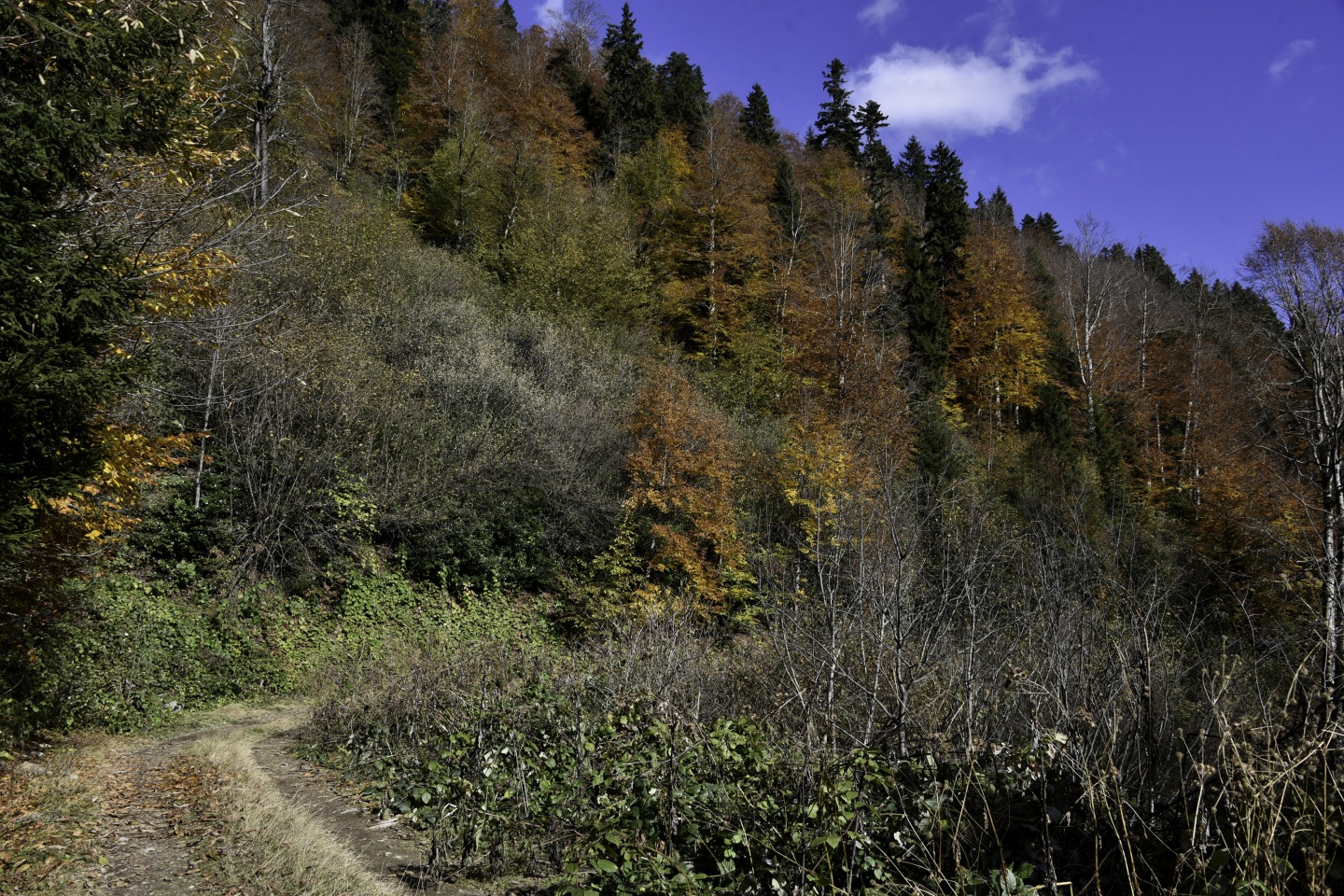 Gümüşhaneli dağcılardan en güzel sonbahar yürüyüşü 35