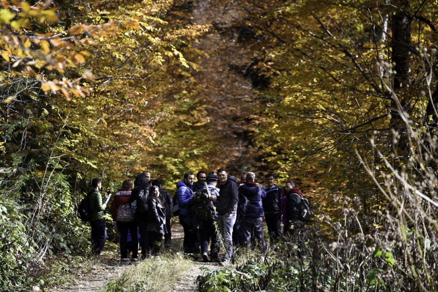Gümüşhaneli dağcılardan en güzel sonbahar yürüyüşü 69