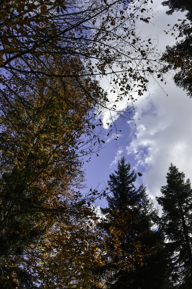 Gümüşhaneli dağcılardan en güzel sonbahar yürüyüşü 28