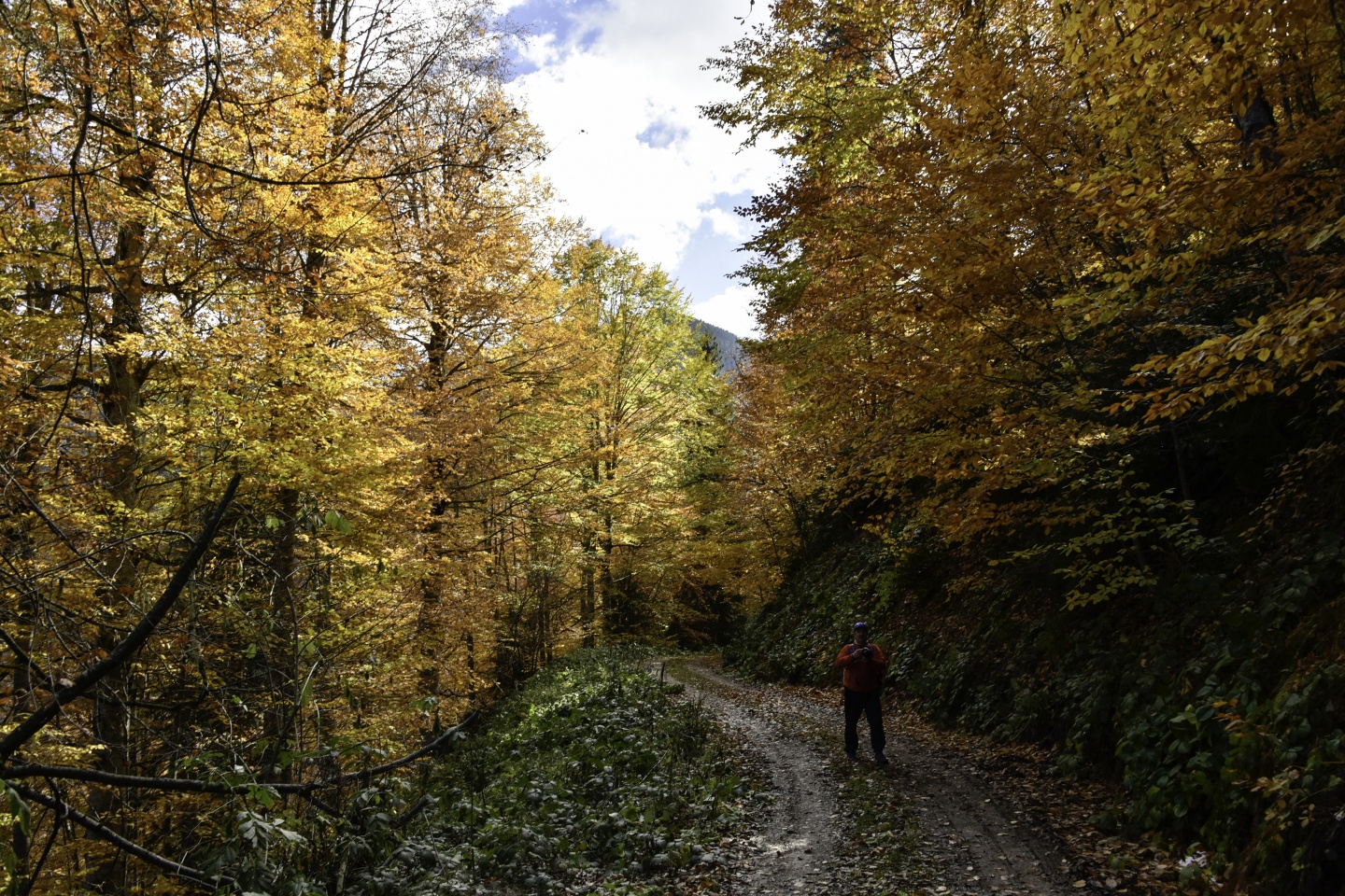 Gümüşhaneli dağcılardan en güzel sonbahar yürüyüşü 49