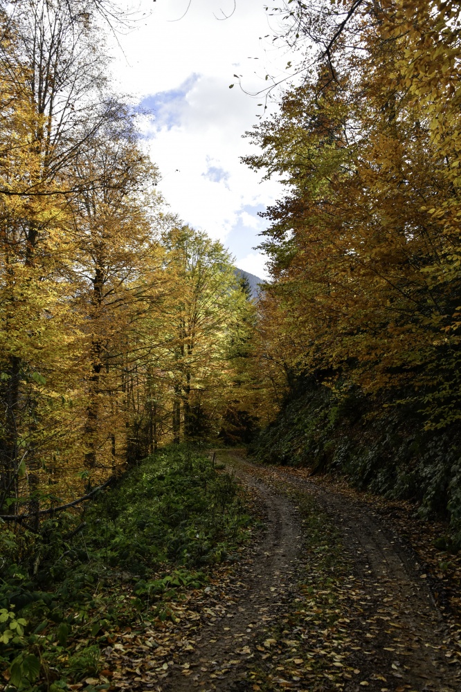 Gümüşhaneli dağcılardan en güzel sonbahar yürüyüşü 59