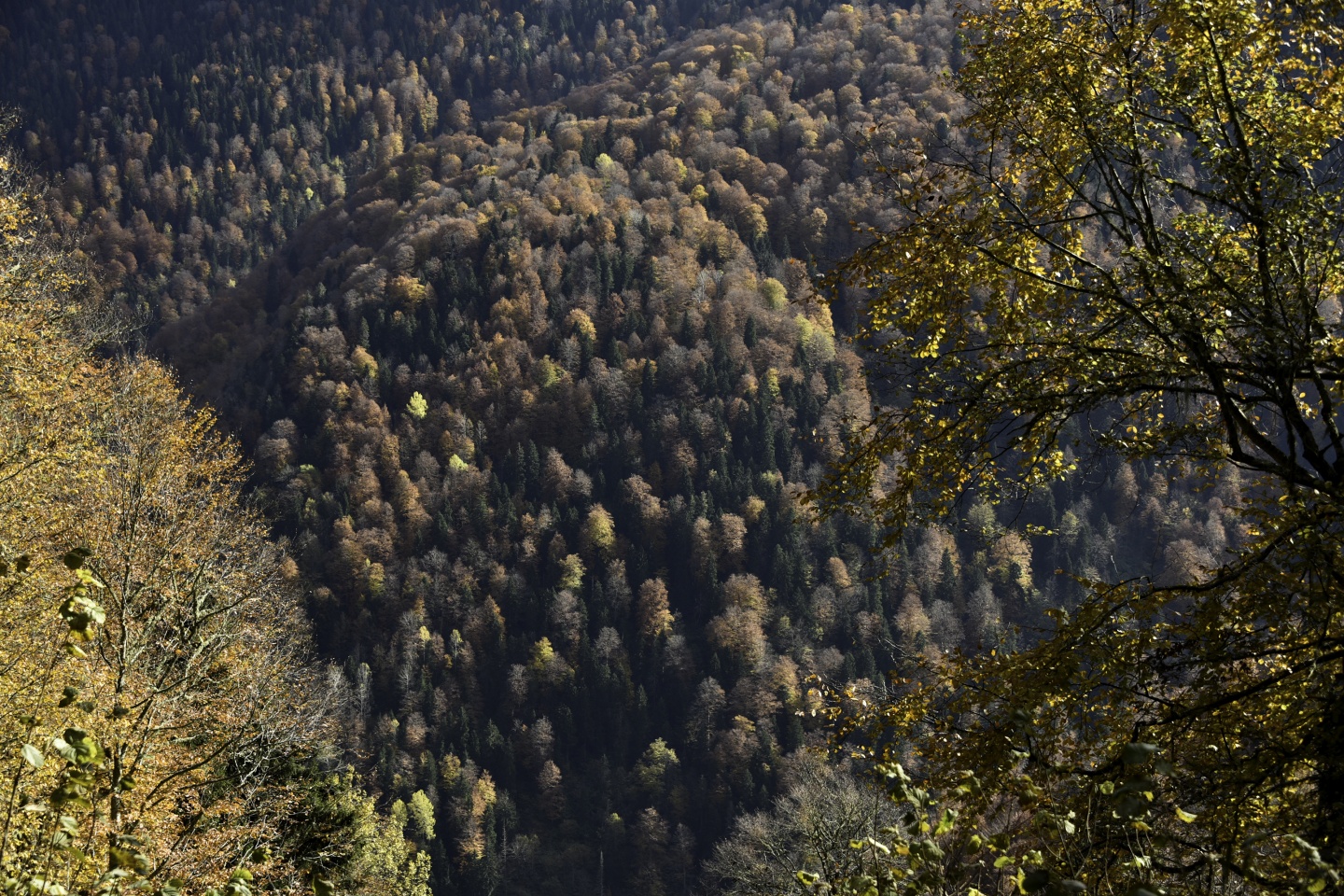 Gümüşhaneli dağcılardan en güzel sonbahar yürüyüşü 90