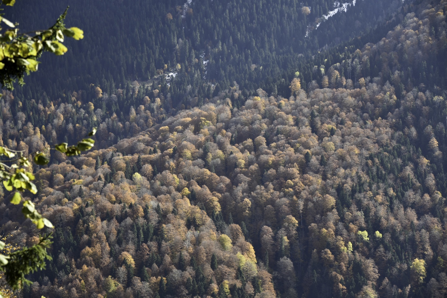 Gümüşhaneli dağcılardan en güzel sonbahar yürüyüşü 54