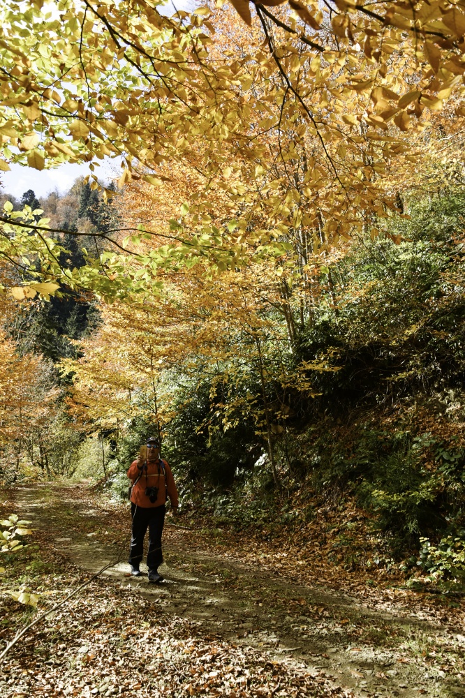 Gümüşhaneli dağcılardan en güzel sonbahar yürüyüşü 87