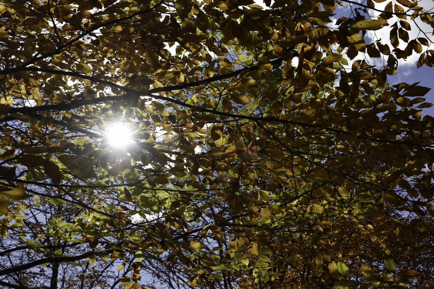 Gümüşhaneli dağcılardan en güzel sonbahar yürüyüşü 93