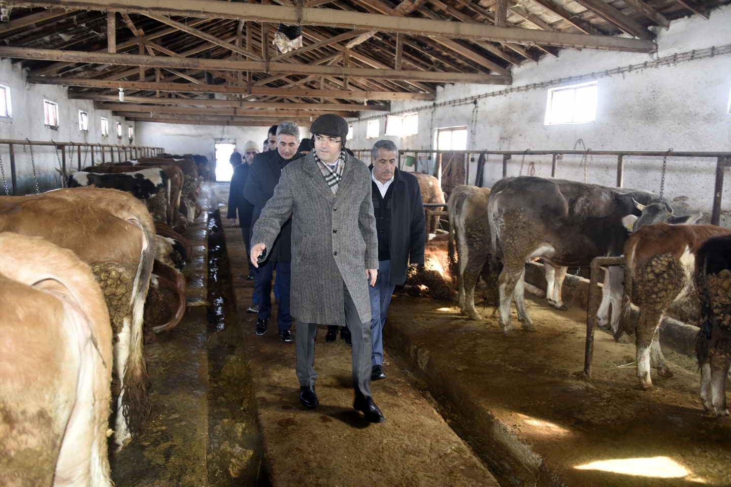 'Buraların Samsung’u, iPhone’u şu gezmiş olduğumuz ahırlar' 5