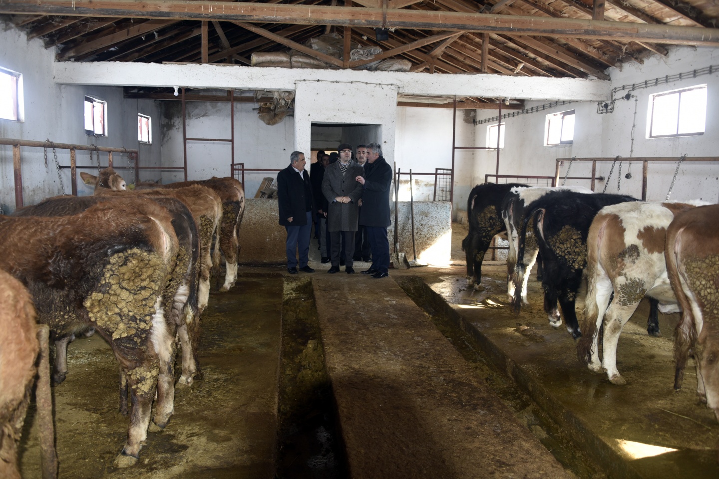 'Buraların Samsung’u, iPhone’u şu gezmiş olduğumuz ahırlar' 8