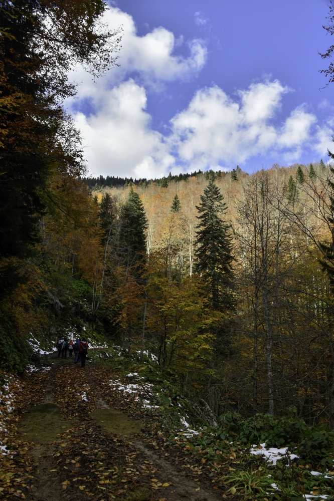 Gümüşhaneli dağcılardan en güzel sonbahar yürüyüşü 23