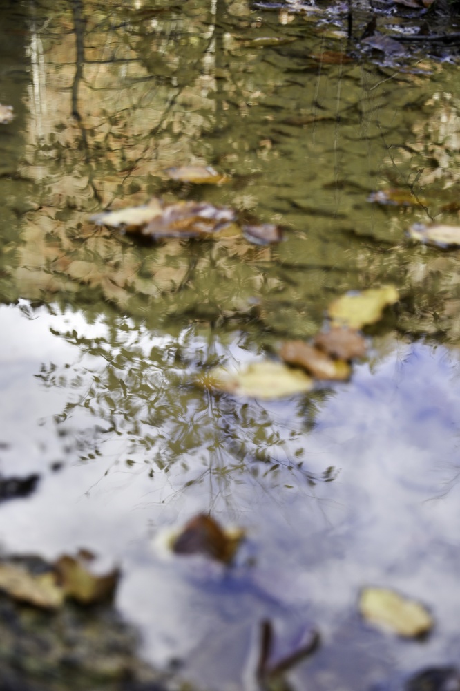 Gümüşhaneli dağcılardan en güzel sonbahar yürüyüşü 11