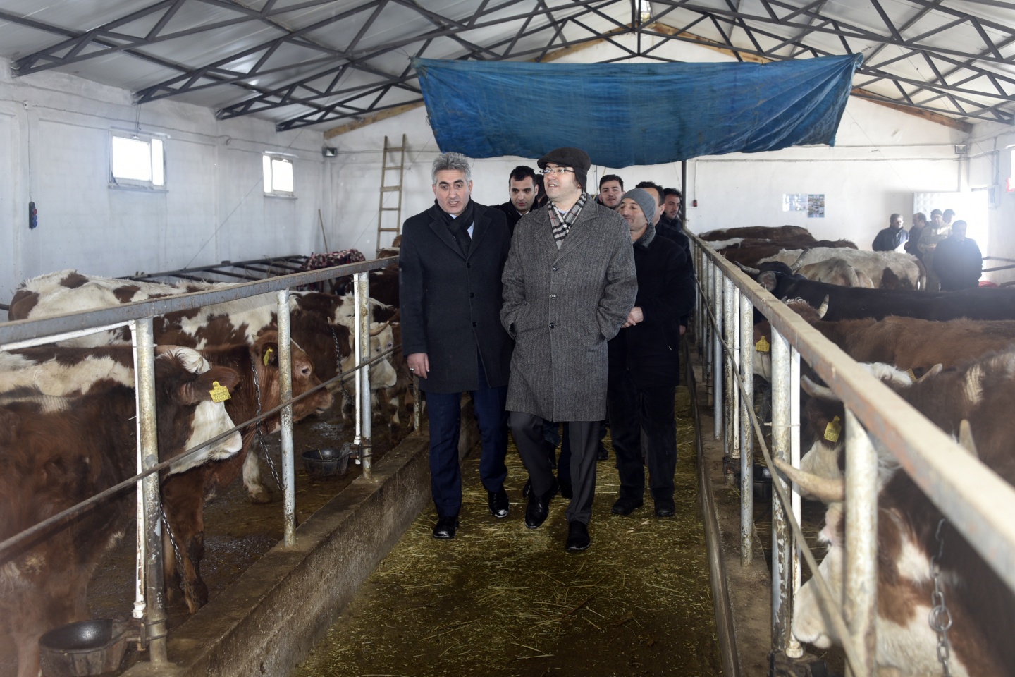 'Buraların Samsung’u, iPhone’u şu gezmiş olduğumuz ahırlar' 4