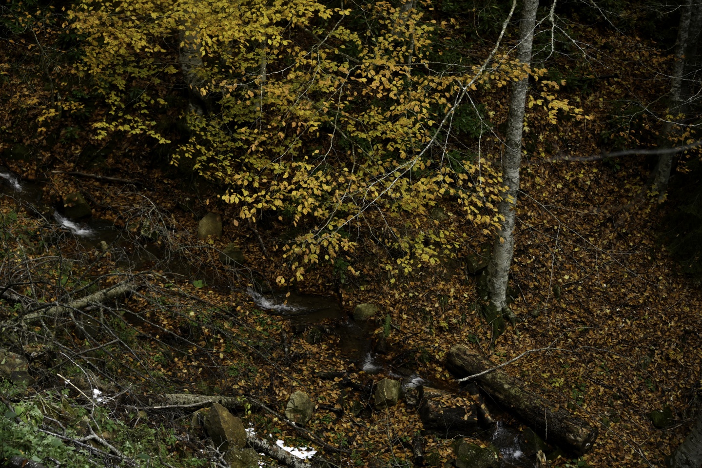 Gümüşhaneli dağcılardan en güzel sonbahar yürüyüşü 57