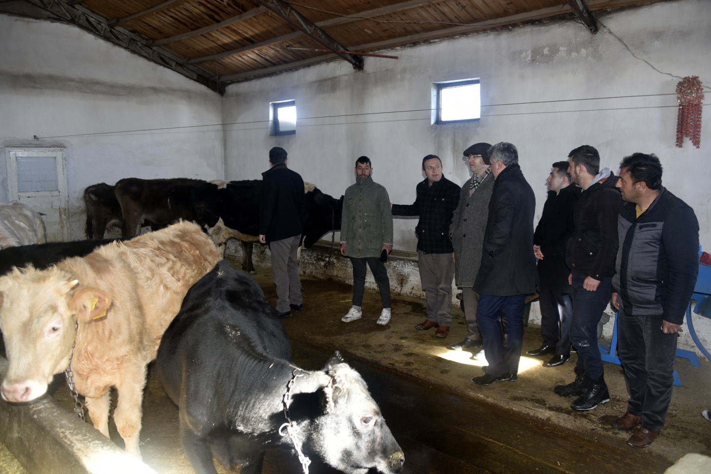 'Buraların Samsung’u, iPhone’u şu gezmiş olduğumuz ahırlar' 3