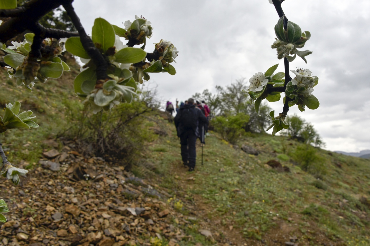 Gümüşhaneli dağcılardan tarih ve doğa içerikli yürüyüş 9