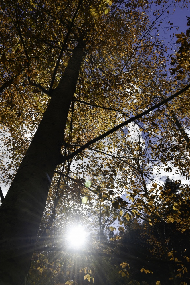 Gümüşhaneli dağcılardan en güzel sonbahar yürüyüşü 78