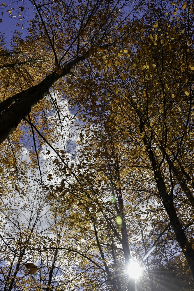 Gümüşhaneli dağcılardan en güzel sonbahar yürüyüşü 65