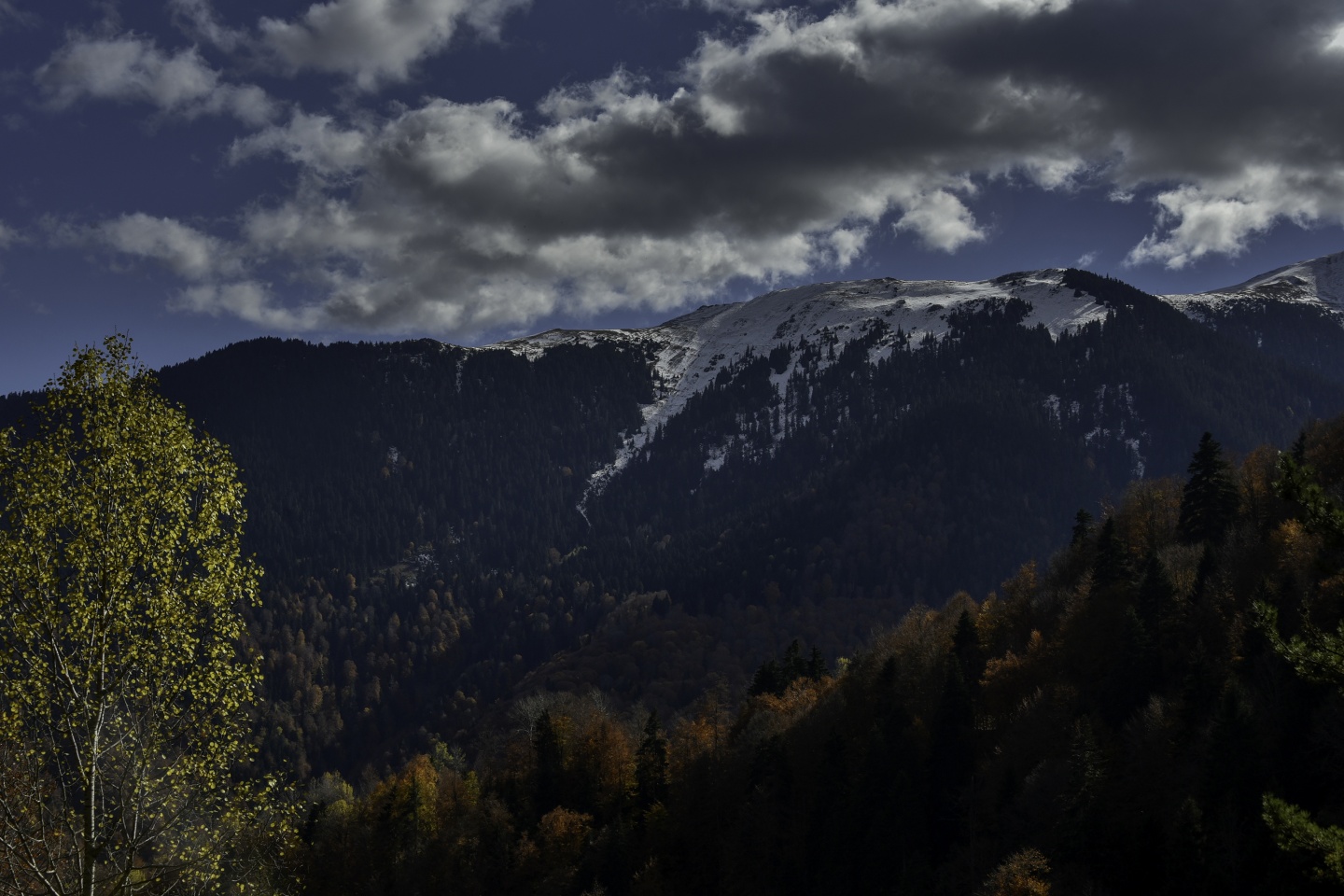 Gümüşhaneli dağcılardan en güzel sonbahar yürüyüşü 8