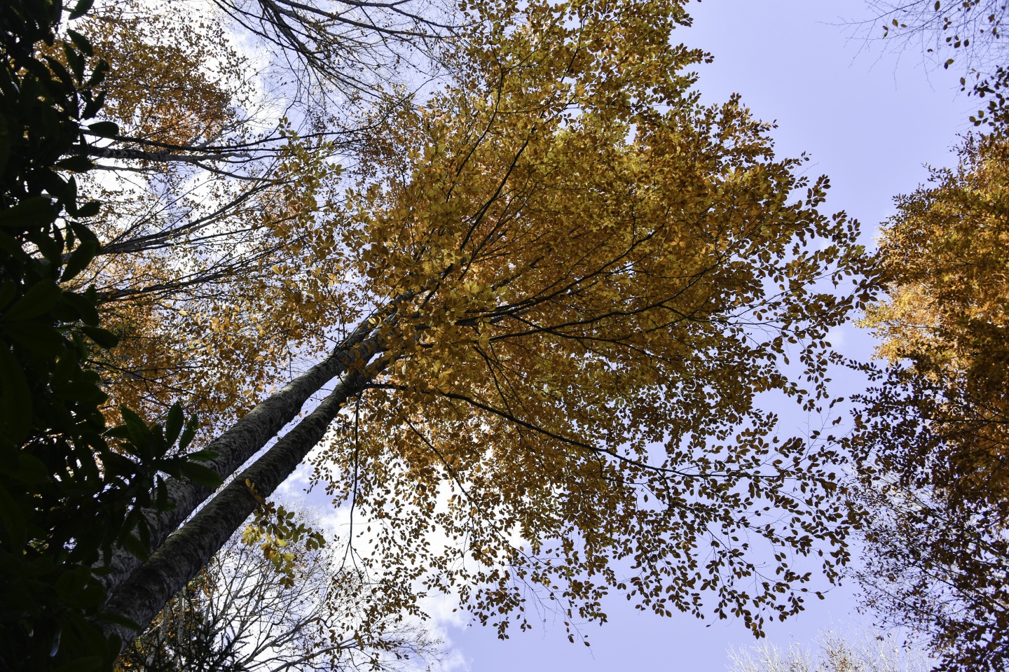 Gümüşhaneli dağcılardan en güzel sonbahar yürüyüşü 21